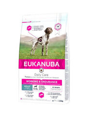 Eukanuba aktiivisille koirille, 2,5 kg hinta ja tiedot | Eukanuba Lemmikit | hobbyhall.fi