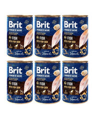 Brit Premium by Nature su žuvies oda, 400 g hinta ja tiedot | Koiran märkäruoka | hobbyhall.fi