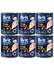 Brit Premium by Nature su žuvies oda, 800 g hinta ja tiedot | Koiran märkäruoka | hobbyhall.fi