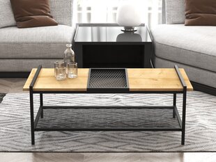 Sohvapöytä, Asir, 120x45x56 cm, ruskea/musta hinta ja tiedot | Sohvapöydät | hobbyhall.fi