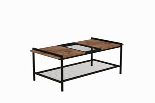 Sohvapöytä, Asir, 120x45x54 cm, ruskea/musta hinta ja tiedot | Sohvapöydät | hobbyhall.fi