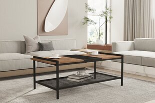 Sohvapöytä, Asir, 120x45x54 cm, ruskea/musta hinta ja tiedot | Sohvapöydät | hobbyhall.fi