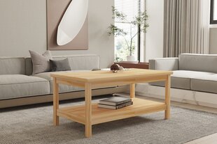 Sohvapöytä, Asir, 110x50x60 cm, beige hinta ja tiedot | Sohvapöydät | hobbyhall.fi