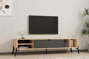 TV-taso, Asir, 160x36x40 cm, beige/harmaa hinta ja tiedot | TV-tasot | hobbyhall.fi