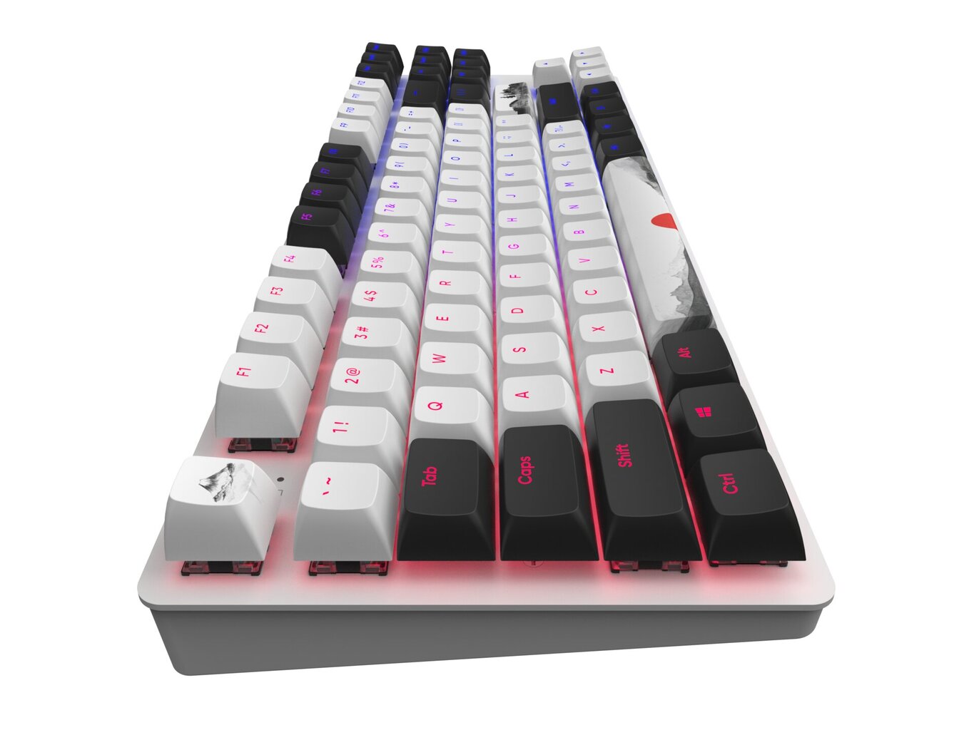 Näppäimistö Dark Project One 87 Fuji, G3MS Sapphire Switch, US hinta ja tiedot | Näppäimistöt | hobbyhall.fi