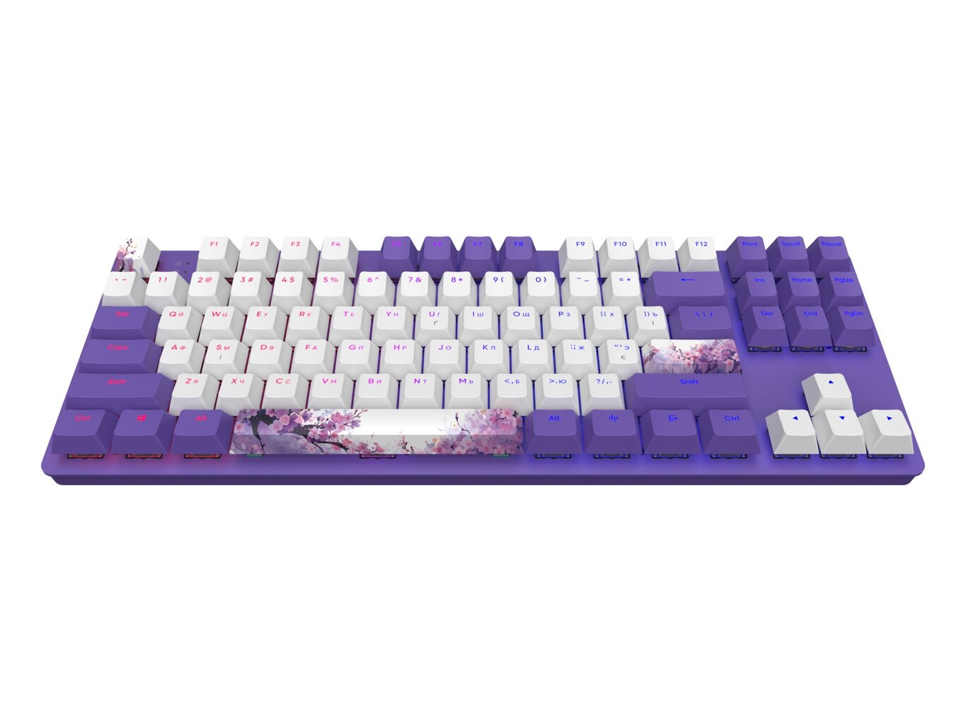 Näppäimistö Dark Project One - 87 Violet Horizons RGB ANSI (ENG/UA) hinta ja tiedot | Näppäimistöt | hobbyhall.fi