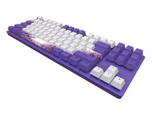 Näppäimistö Dark Project One - 87 Violet Horizons RGB ANSI (ENG/UA) hinta ja tiedot | Näppäimistöt | hobbyhall.fi