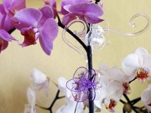 Orkidea koristeliitin hinta ja tiedot | Aluslautaset ja lisätarvikkeet | hobbyhall.fi