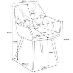 2 tuolin sarja Akord SJ.030, vihreä hinta ja tiedot | Ruokapöydän tuolit | hobbyhall.fi