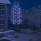 vidaXL Joulukuusi 2 000 sinistä LED-valoa kirsikankukka 500 cm hinta ja tiedot | Joulukoristeet | hobbyhall.fi