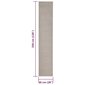 vidaXL Matto luonnollinen sisal 66x350 cm hiekka hinta ja tiedot | Isot matot | hobbyhall.fi