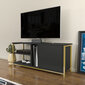 TV-taso, Asir, 120x35,3x50,8 cm, kulta/harmaa hinta ja tiedot | TV-tasot | hobbyhall.fi