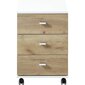 426459 Germania Rolling Filing Cabinet "Altino" 40x48,9x56,9 cm Navarra-oak and White hinta ja tiedot | Kaapit | hobbyhall.fi