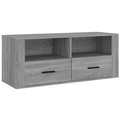 vidaXL TV-taso harmaa Sonoma 100x35x40 cm tekninen puu hinta ja tiedot | TV-tasot | hobbyhall.fi