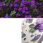 Ringke Fusion iPhone 14 Plus transparent (Purple rose) (FD637E29) hinta ja tiedot | Puhelimen kuoret ja kotelot | hobbyhall.fi