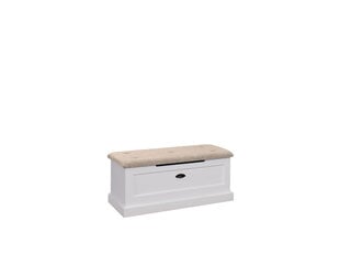 Kenkäkaappi ADRK Furniture GAL PO2, valkoinen/ruskea. hinta ja tiedot | Kenkäkaapit ja -hyllyt | hobbyhall.fi