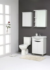 RASA Riippuva kylpyhuonekaappi peilillä RV55M hinta ja tiedot | Kylpyhuonekaapit | hobbyhall.fi