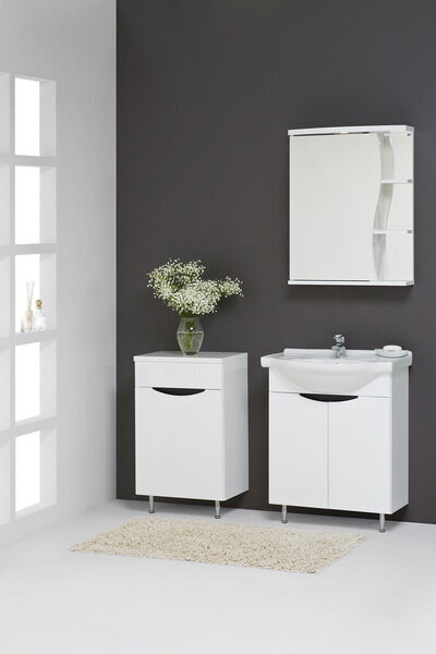 Riippuva kylpyhuonekaappi peilillä RASA RV60V hinta ja tiedot | Kylpyhuonekaapit | hobbyhall.fi