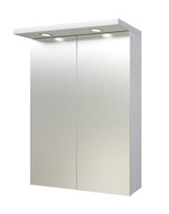 Peilikaappi Quadro / Pro 50 cm, valkoinen hinta ja tiedot | Kylpyhuonekaapit | hobbyhall.fi
