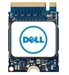 Dell AB292881 hinta ja tiedot | Kovalevyt | hobbyhall.fi