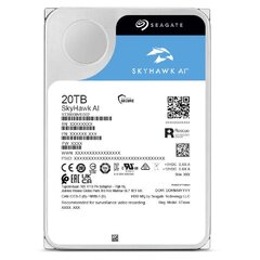 Seagate SkyHawk AI hinta ja tiedot | Kovalevyt | hobbyhall.fi