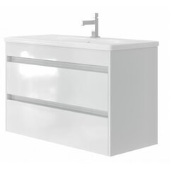 Kylpyhuonekaappi pesualtaalla Luton LT-100, valkoinen. hinta ja tiedot | Kylpyhuonekaapit | hobbyhall.fi