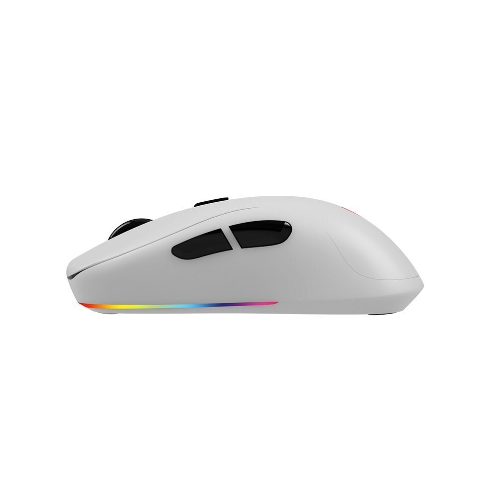 Savio Rift White RGB hinta ja tiedot | Hiiret | hobbyhall.fi