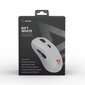 Savio Rift White RGB hinta ja tiedot | Hiiret | hobbyhall.fi