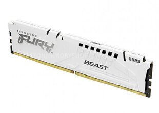 Kingston FURY Beast RD-DDR5-KNG-125 hinta ja tiedot | Muisti (RAM) | hobbyhall.fi