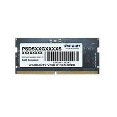 Patriot Memory Signature PSD516G560081S hinta ja tiedot | Muisti (RAM) | hobbyhall.fi