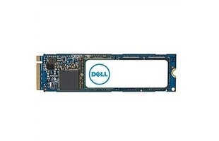 Dell AC037410 hinta ja tiedot | Kovalevyt | hobbyhall.fi