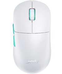 Cherry Xtrfy M8 hinta ja tiedot | Hiiret | hobbyhall.fi