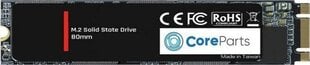 CoreParts CPSSD-M.2SATA-512GB hinta ja tiedot | Kovalevyt | hobbyhall.fi