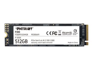 CoreParts CPSSD-M.2NVME-256G hinta ja tiedot | CoreParts Tietokoneet ja pelaaminen | hobbyhall.fi