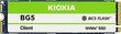 Kioxia BG5 (KBG50ZNV256G) hinta ja tiedot | Kovalevyt | hobbyhall.fi