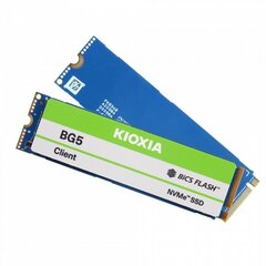 Kioxia BG5 (KBG50ZNV256G) hinta ja tiedot | Kovalevyt | hobbyhall.fi