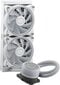 Cooler Master ML240 Illusion White Edition hinta ja tiedot | Prosessorin jäähdyttimet | hobbyhall.fi