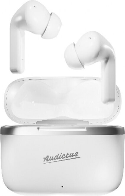 Audictus Dopamine White hinta ja tiedot | Kuulokkeet | hobbyhall.fi