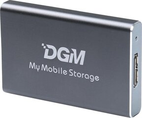 DGM My Mobile Storage MMS128SG hinta ja tiedot | Ulkoiset kovalevyt | hobbyhall.fi