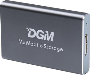 DGM My Mobile Storage MMS256SG hinta ja tiedot | Ulkoiset kovalevyt | hobbyhall.fi