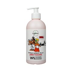 Kajko i Kokosz luonnollinen shampoo ja pesugeeli lapsille 2in1 Leśne Mansikat 350ml hinta ja tiedot | Lasten ja äitiysajan kosmetiikka | hobbyhall.fi