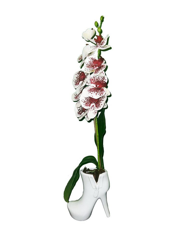 Keinotekoinen orkidea Cinderella, 75cm hinta ja tiedot | Keinotekoiset kukat | hobbyhall.fi