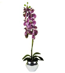 Keinotekoinen orkidea Milana 75cm hinta ja tiedot | Keinotekoiset kukat | hobbyhall.fi