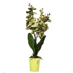 Keinotekoinen orkidea Adelina 70cm hinta ja tiedot | Keinotekoiset kukat | hobbyhall.fi