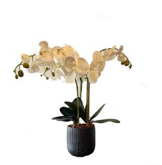 Keinotekoinen orkidea Margalita 55cm hinta ja tiedot | Keinotekoiset kukat | hobbyhall.fi