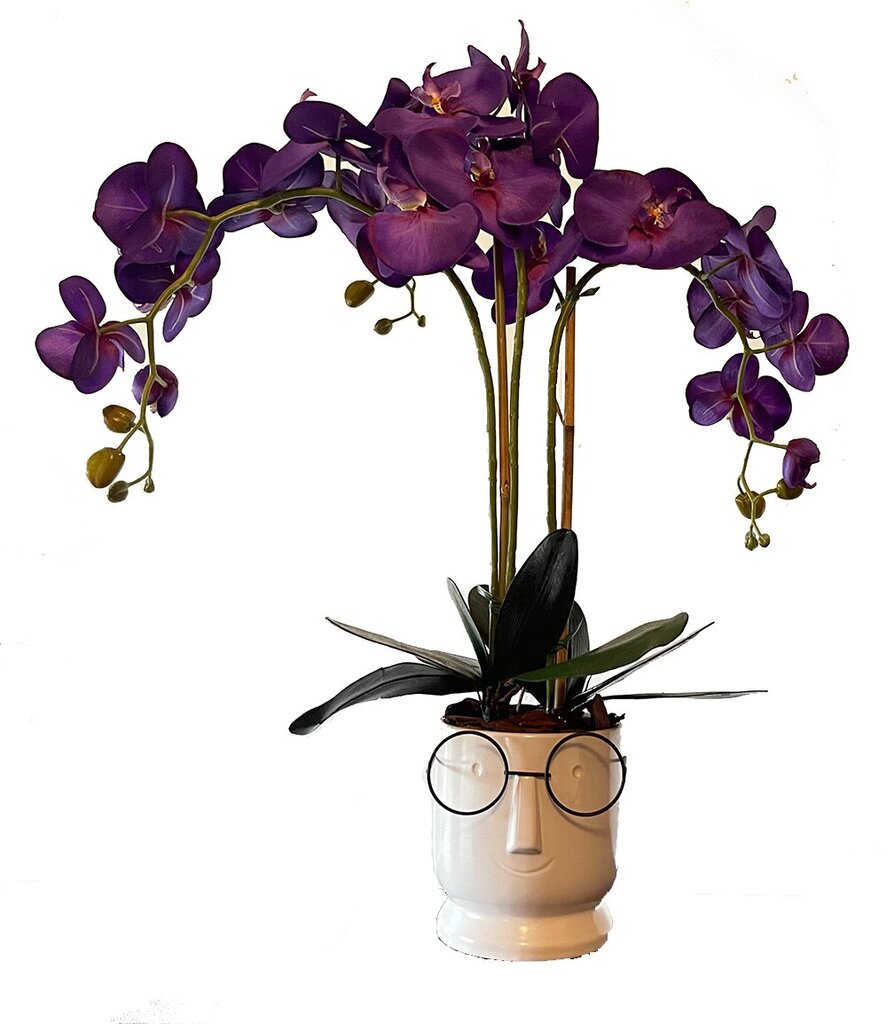 Keinotekoinen orkidea Wit 70cm hinta ja tiedot | Keinotekoiset kukat | hobbyhall.fi