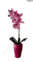 Keinotekoinen orkidea Astralia / 55cm hinta ja tiedot | Keinotekoiset kukat | hobbyhall.fi