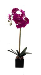 Keinotekoinen orkidea Florin / 55 cm hinta ja tiedot | Keinotekoiset kukat | hobbyhall.fi