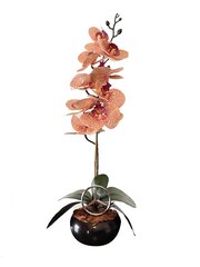 Keinotekoinen orkidea Mercedes / 55cm hinta ja tiedot | Keinotekoiset kukat | hobbyhall.fi