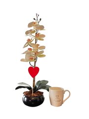 Keinotekoinen orkidea Melanija / 55cm + kuppi hinta ja tiedot | Keinotekoiset kukat | hobbyhall.fi